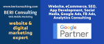 BERI Consulting